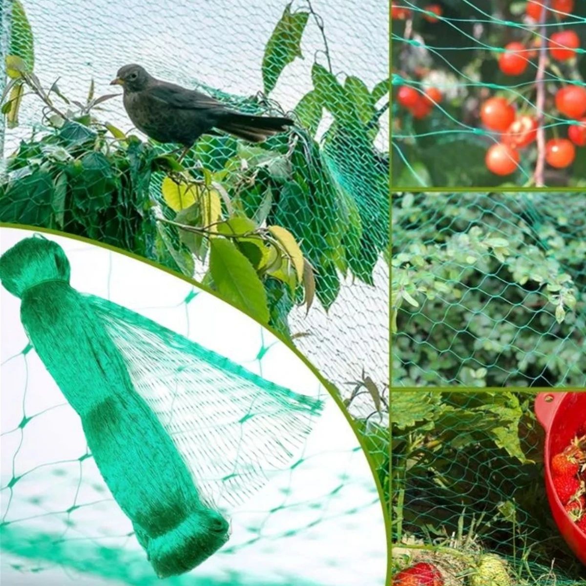 Garden Bird Protection Net