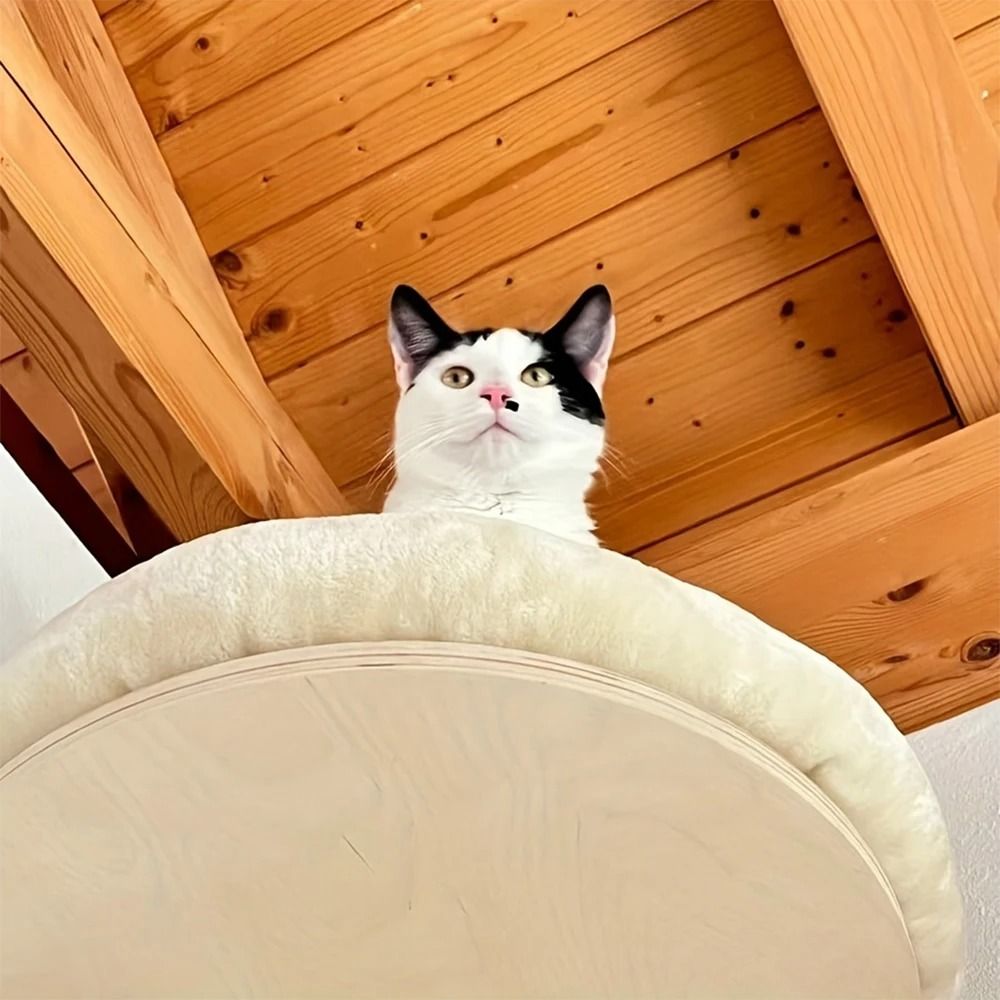 Wall Mounted Wooden Cat Climbing Ladder and Hammock with Scratching Post