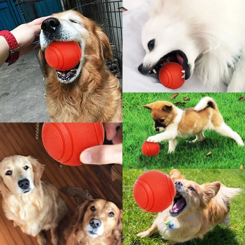 HOOPET Bite Resistant Rubber Dog Ball