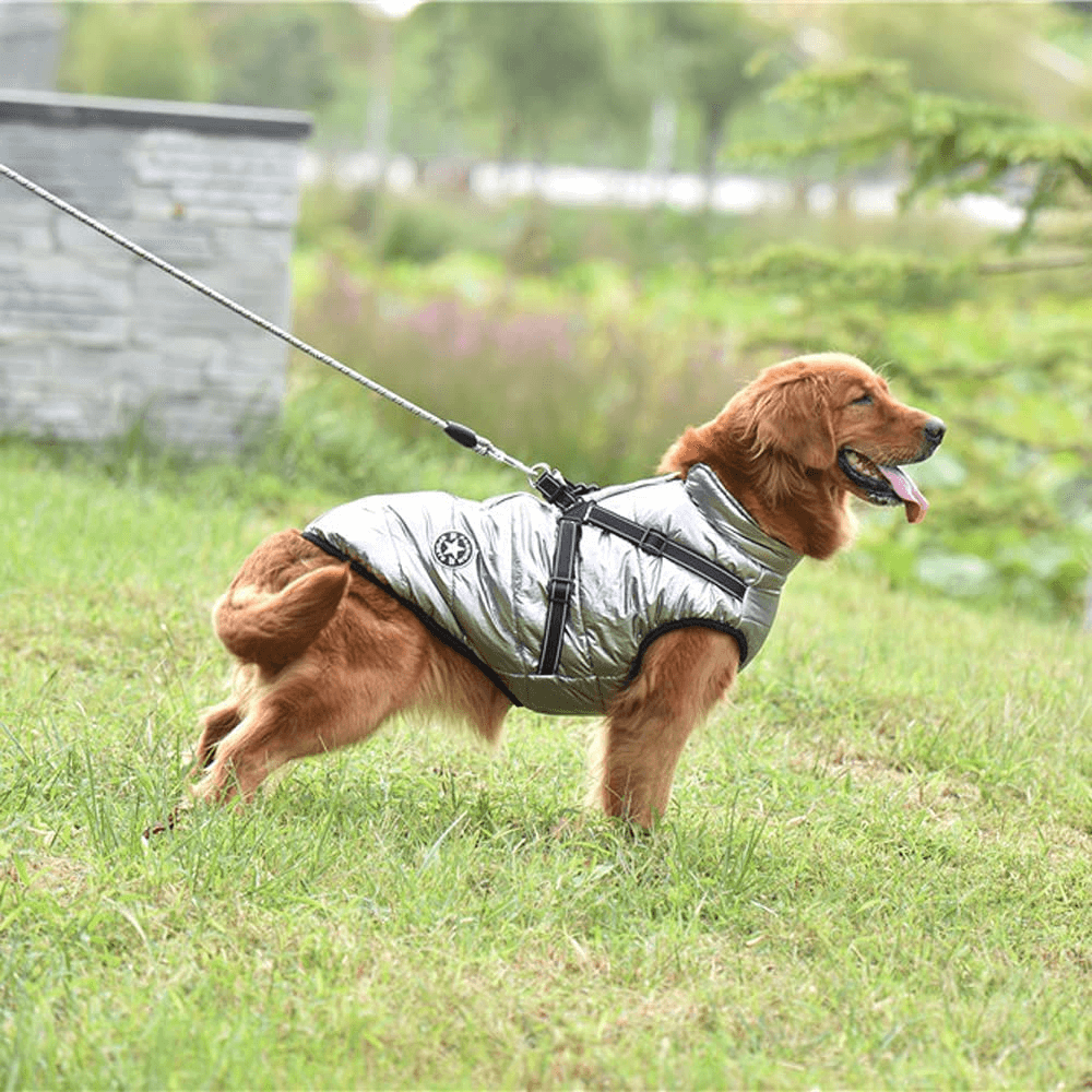 Dog Coat With Zipper on Back