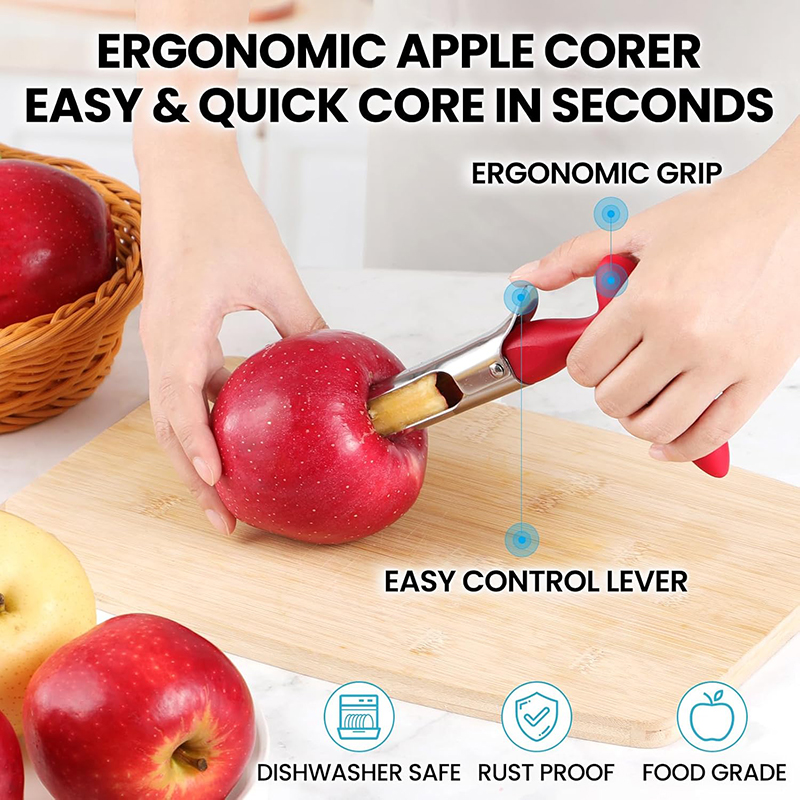 Stainless Steel Apple Corer Tool for Apples and Pears Easy Fruit Core Remover