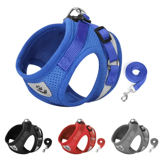 SafePaw Reflective Escape-Proof Cat Harness & Leash Set