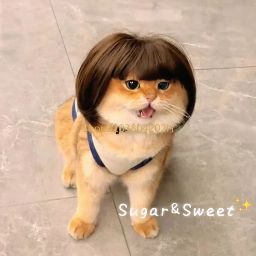 Funny Pet Cosplay Wig – Exploding Head & Braided Hair Accessories – High-Yield Festive Feline & Canine Interaction Hub