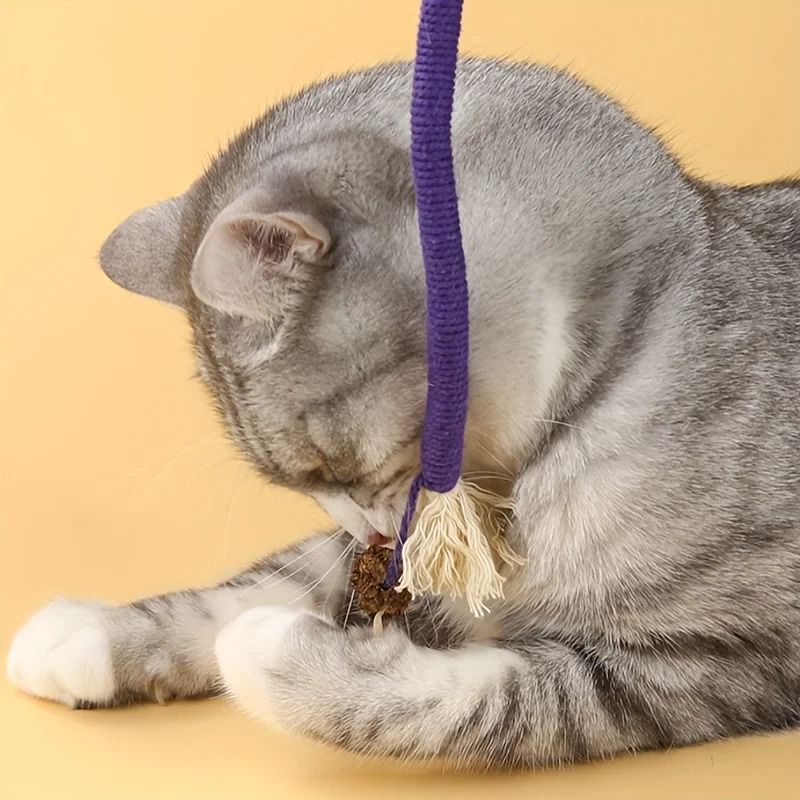 Cat Bite Rope Toy Durable Teething Chew Rope