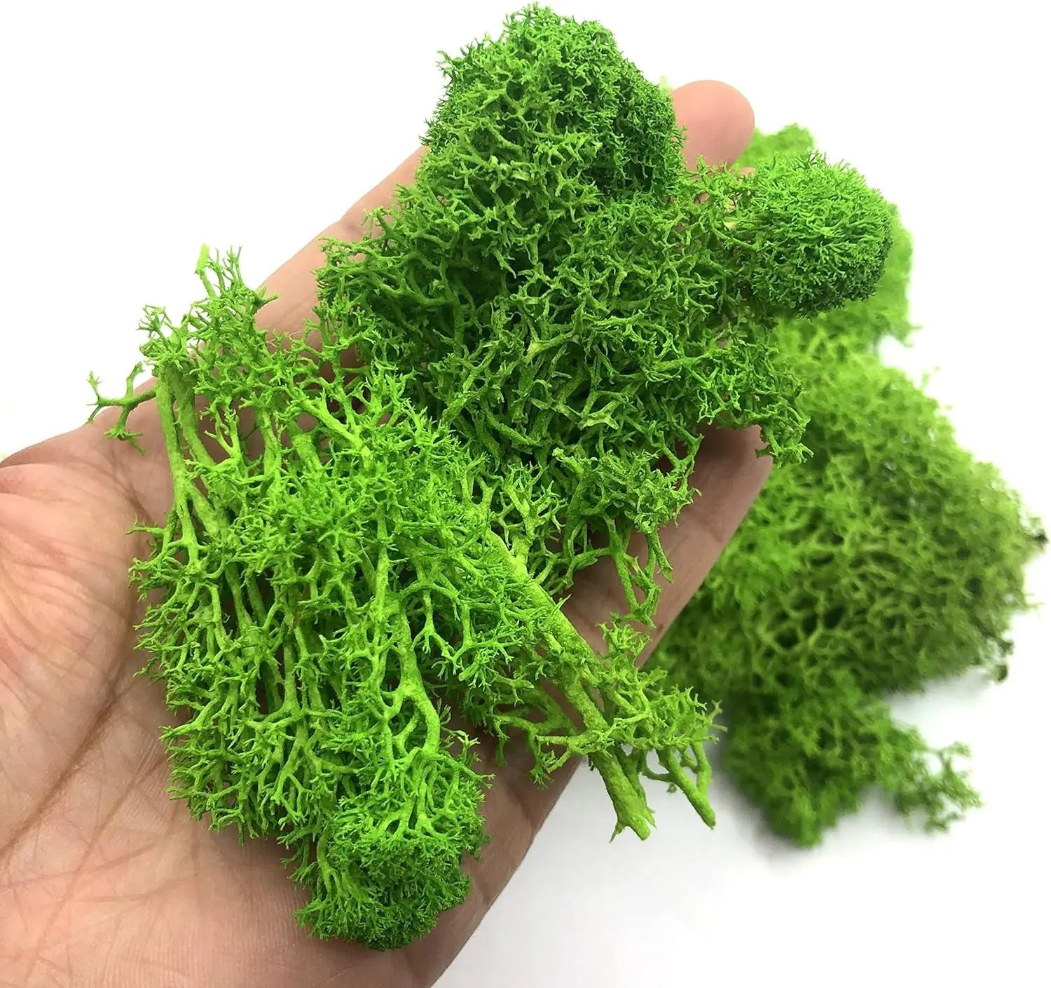 Premium Eternal Life Preserved Artificial Moss Grass