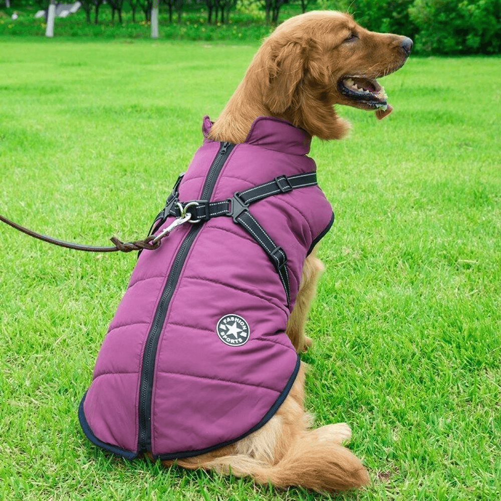 Dog Coat With Zipper on Back