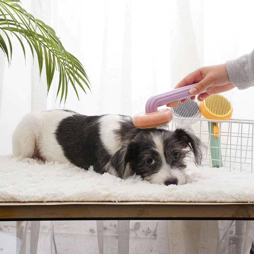 Pumpkin Pet Comb