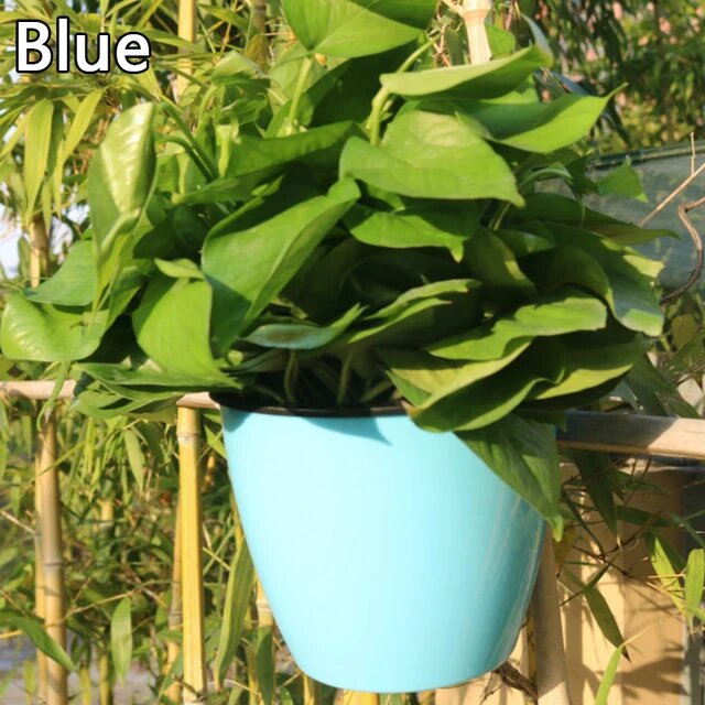 Self Watering Hanging Basket