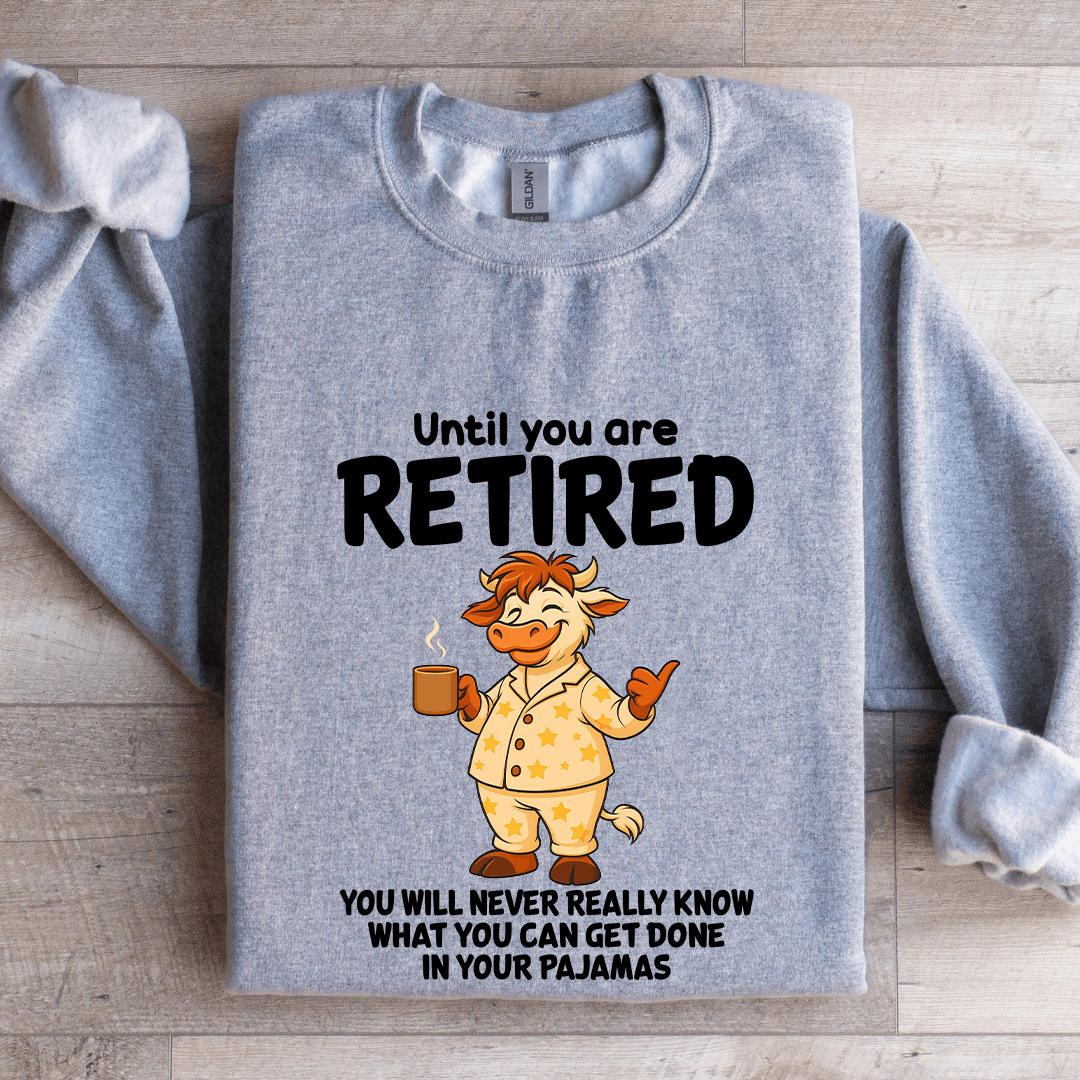 Until You Are Retired You Will Never Really Know Sweatshirt