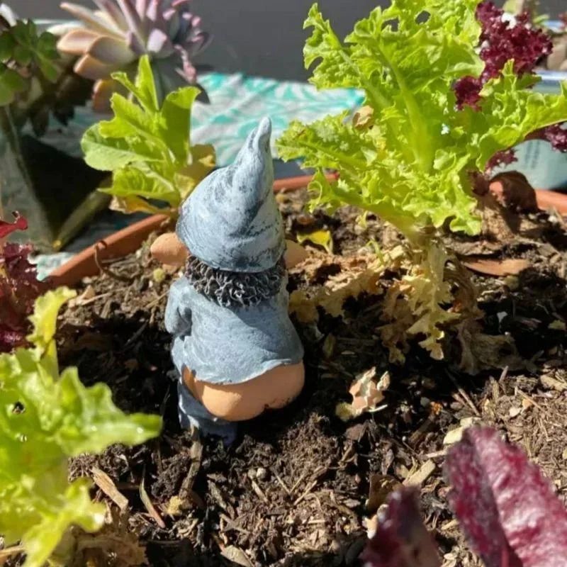 Cheeky Resin Garden Gnome Statue – Playful garden gnome statue for Lawn & Patio Decor