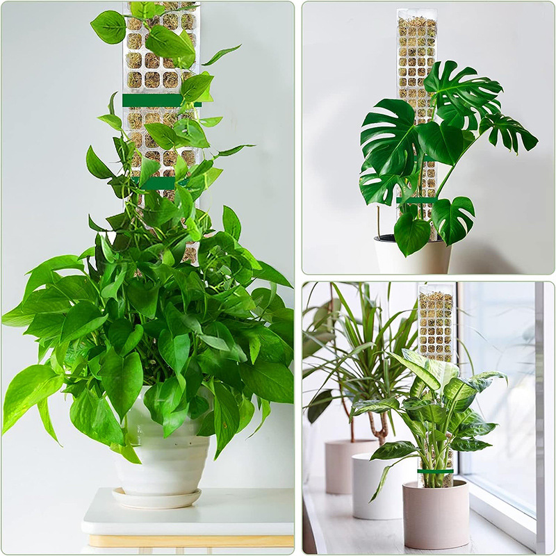 Moss Pole for Plants Indoor Plant Support Stick, Climbing Plant Tutor for Growth