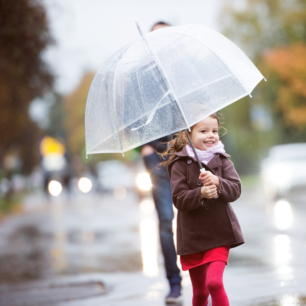 8-Rib Transparent Bubble Umbrella