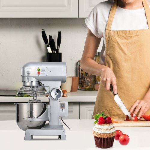 Commercial Food Mixer, Speeds Adjustable RPM Heavy Duty with Stainless Steel Bowl Dough Hooks Beater Whisk for Schools