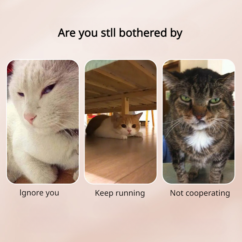 Selfie Clip Supplies Puppy Pet Products, Pet Photo Artifacts Cats Dogs, Pet Toys Look At The Lens Toy Cell Phone Camera