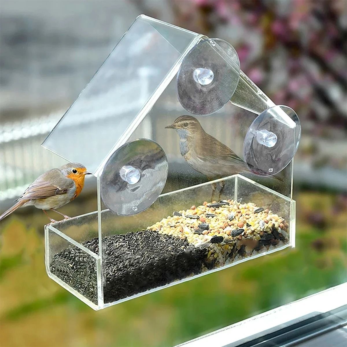 Clear View Window Bird Feeder
