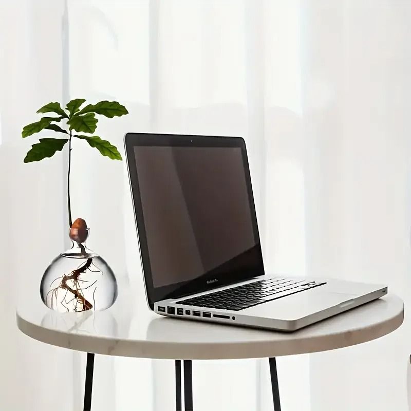 Avocado Seed Starter Glass Bulb Vase