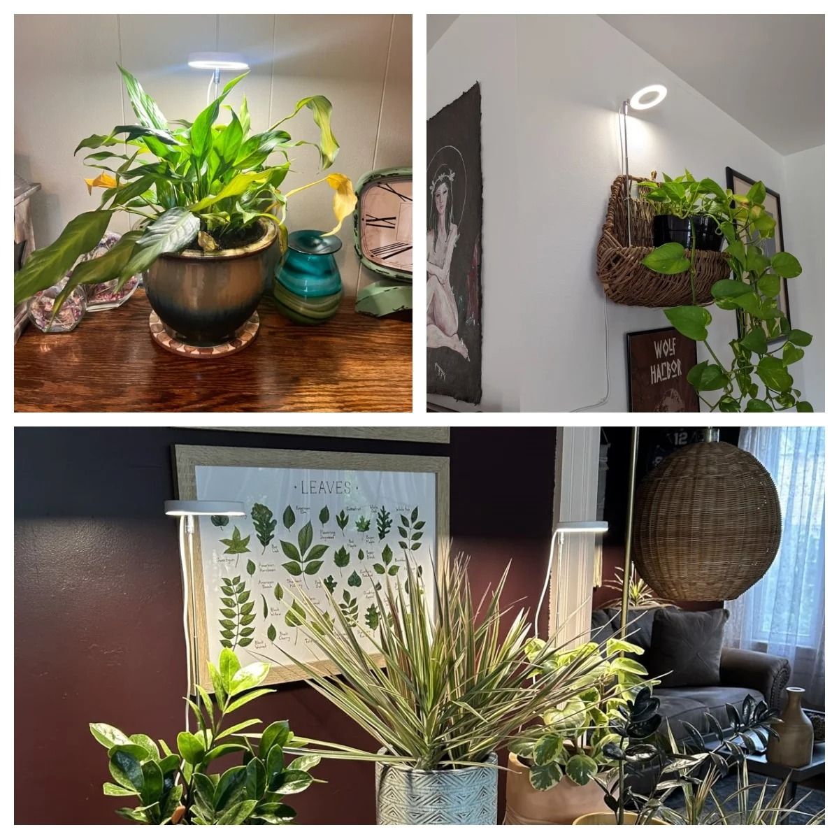 Full Spectrum Telescopic LED Plant Growth Light