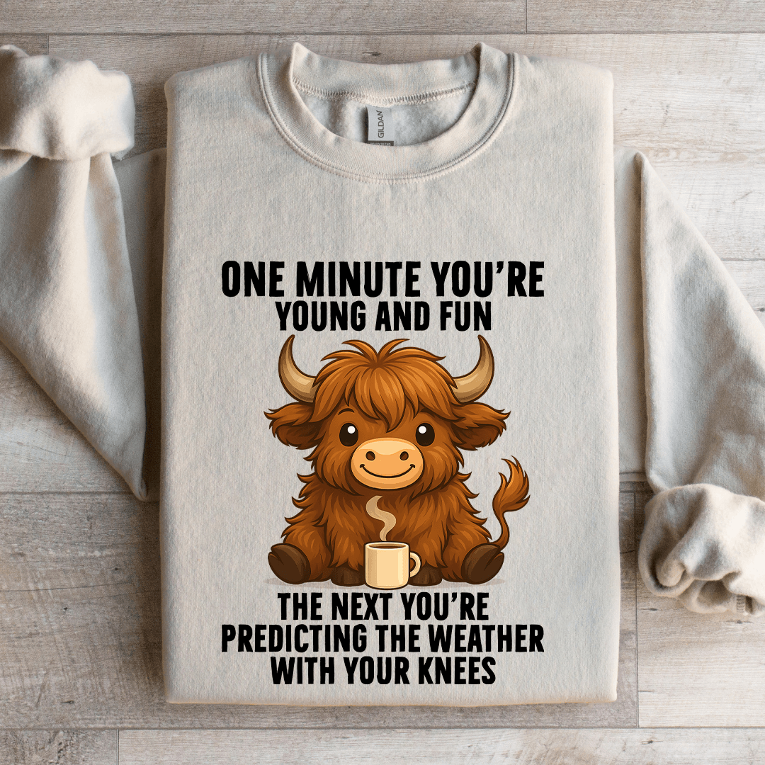 One Minute You're Young And Fun Sweatshirt