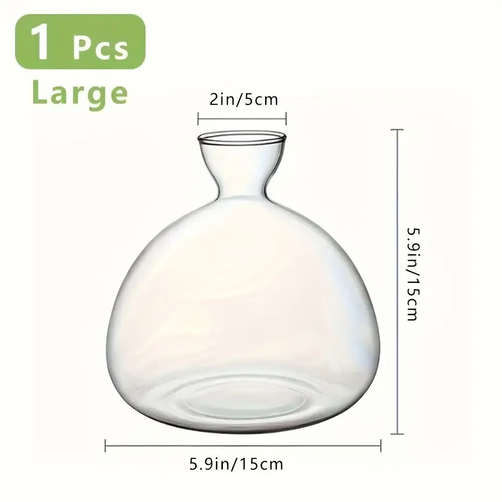Avocado Seed Starter Glass Bulb Vase