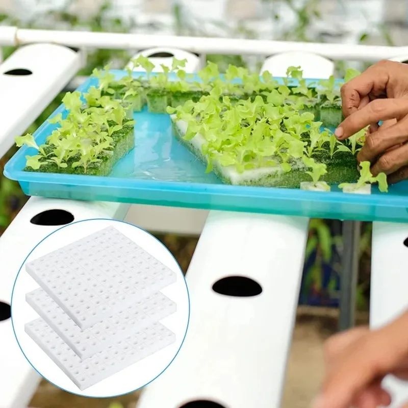 Hydroponic Plant Growing Sponge Set