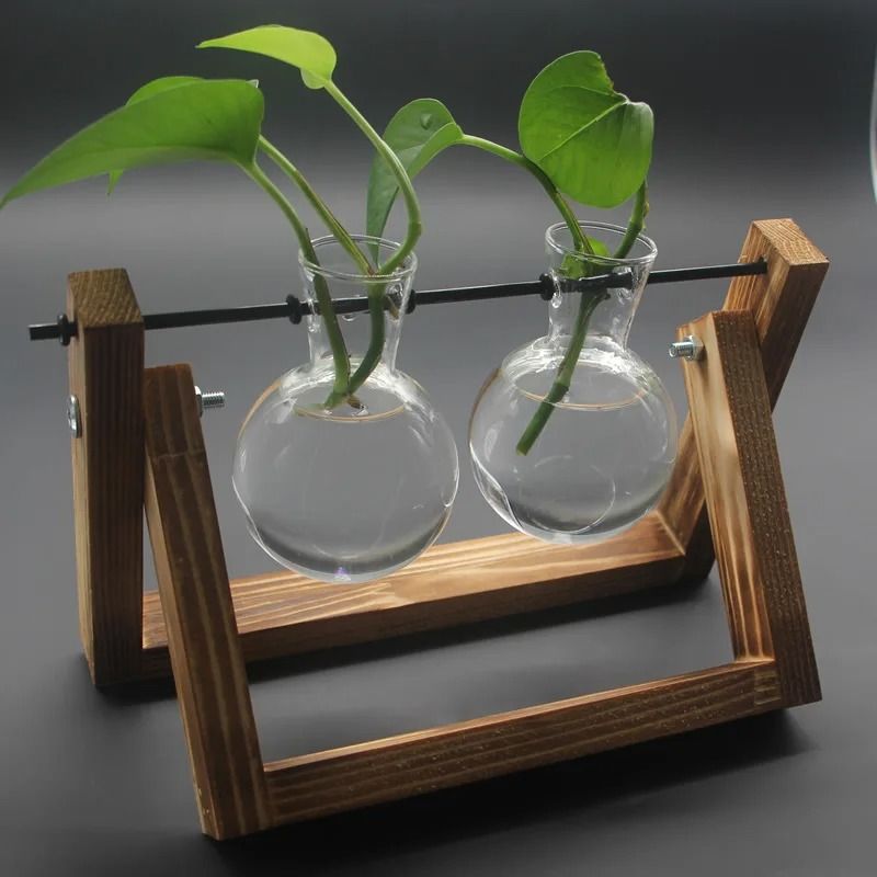Hydroponic Plant Vase with Wooden Stand