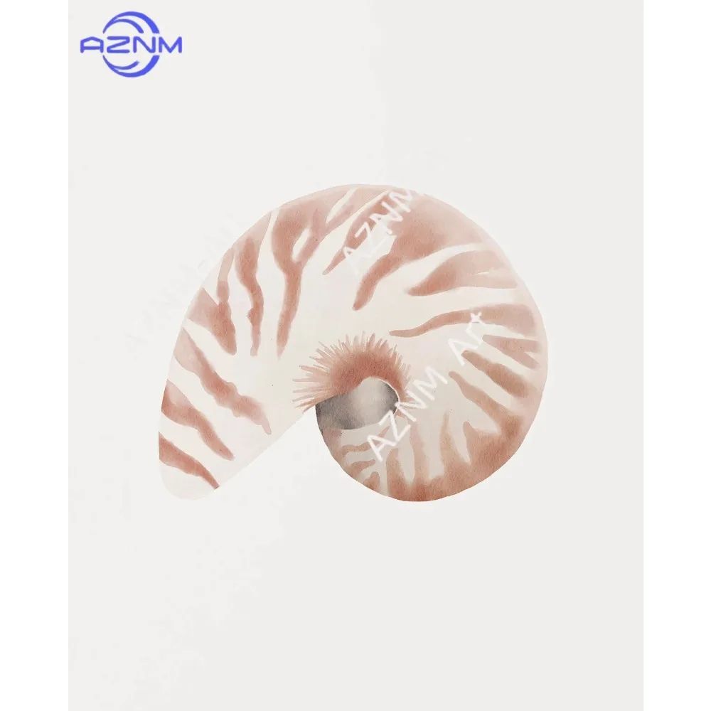 Coastal Seashell Wall Art Canvas Set Ocean Inspired Prints