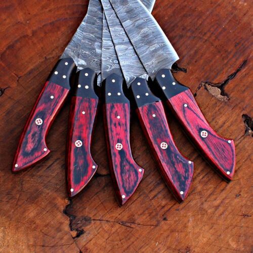 Handmade Damascus Steel Chef Knives Kitchen Set with Leather Bag | Full Tang