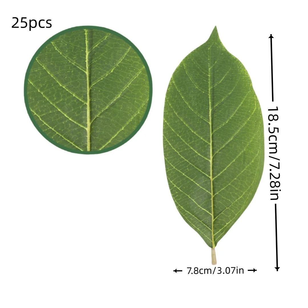 Botanical Narrative Sculpture – High-Definition Magnolia Leaf Architectural Set