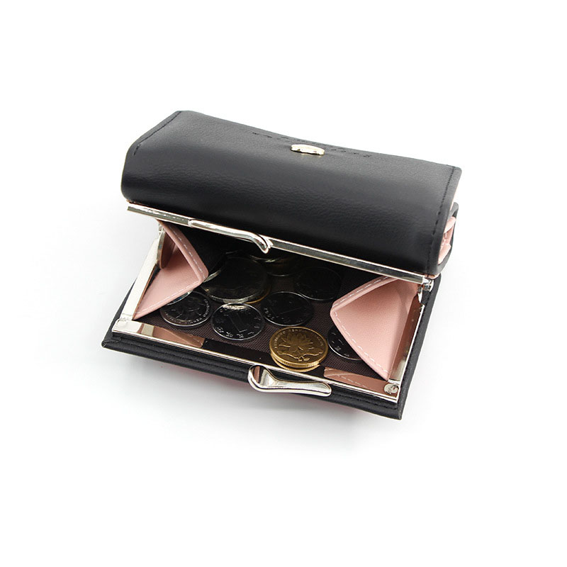 Mini Womens Luxury Wallet with Coin Pocket & Card Holder