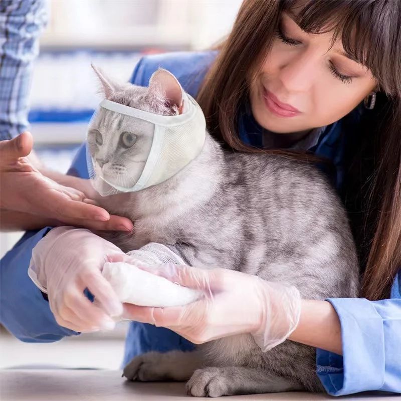 ClearCalm Pet Muzzle – Transparent Cat Muzzle & Breathable Anti-Bite Grooming Mask for Cats and Small Dogs