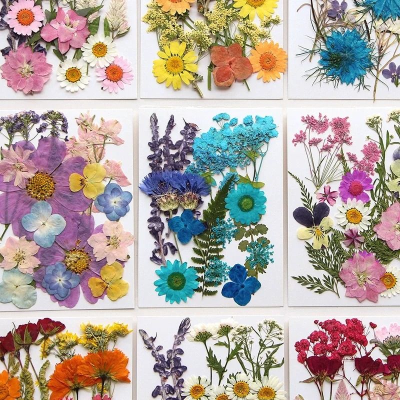 Natural Dried Flowers for Resin Jewelry Nail Art and Craft Decoration