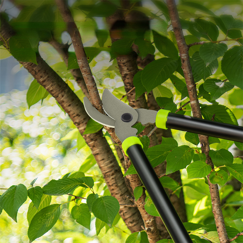 Fence Shear Tree Cutter, Pruning Tool, High Branch Shears, Garden Pruner