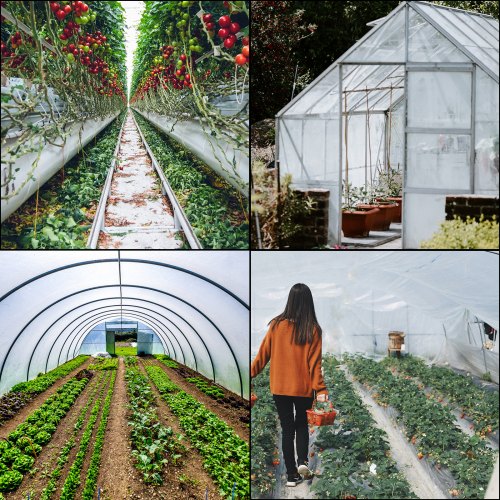 Greenhouse Polyethylene Film Mil, Clear Plastic Cover with UV Resistance, Tear-Proof Strength & Weather Protection