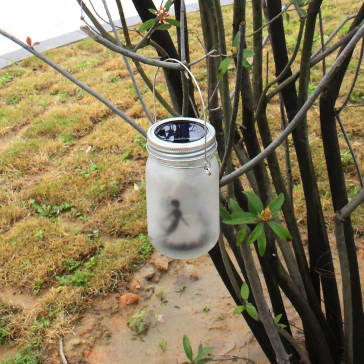 Solar Fairy Lantern Garden Light