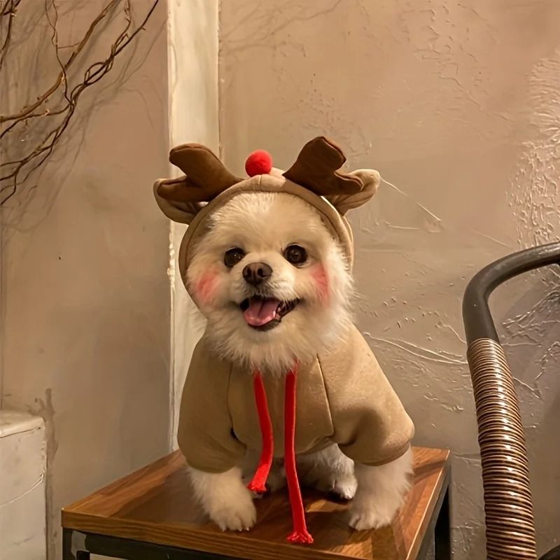 Cozy Elk Hooded Pet Sweater for Autumn and Winter Warmth