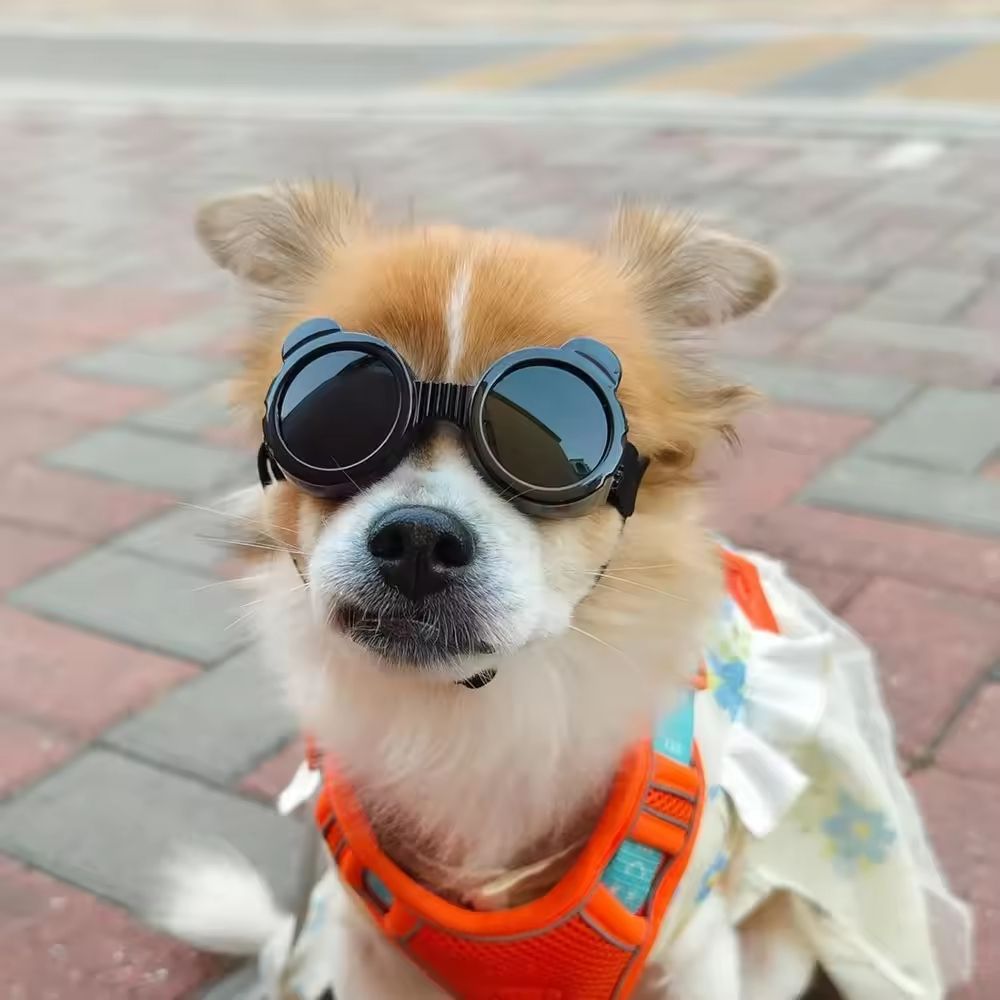 dog goggles Waterproof Windproof Sunglasses for Small Dogs, Outdoor Travel Eye Protection