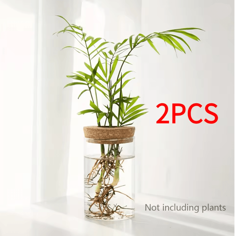AquaBloom Desktop Glass Hydroponic Planter Vase