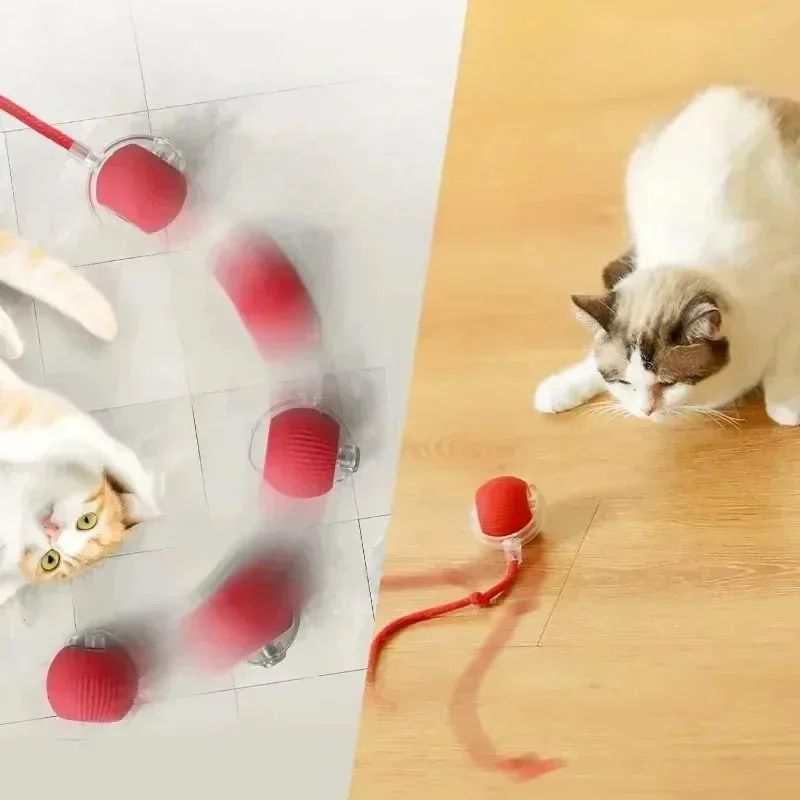 Smart Rolling Cat Ball with Tail Rechargeable Interactive Cat Toy