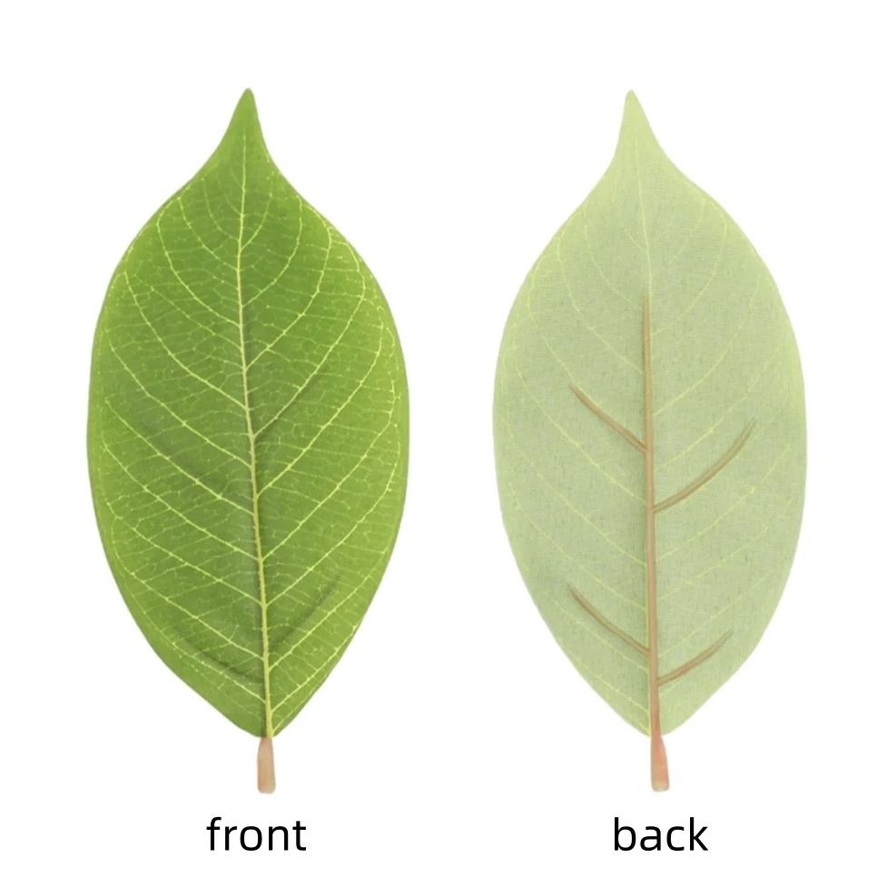 Botanical Narrative Sculpture – High-Definition Magnolia Leaf Architectural Set