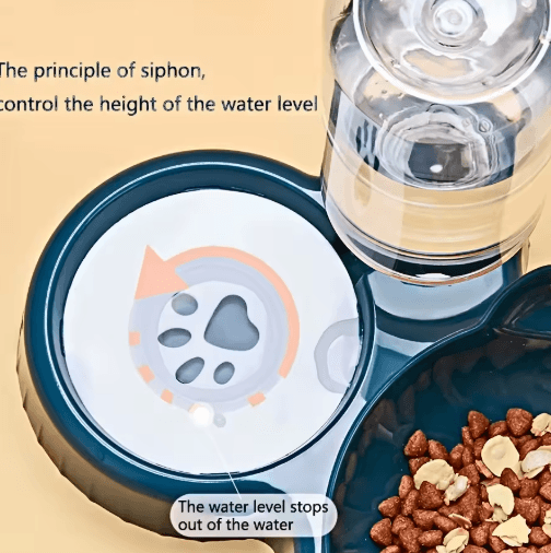ErgoFeed 3 in 1 Pet Bowl – Tilted Cat Bowl Set with Gravity Water Feeder