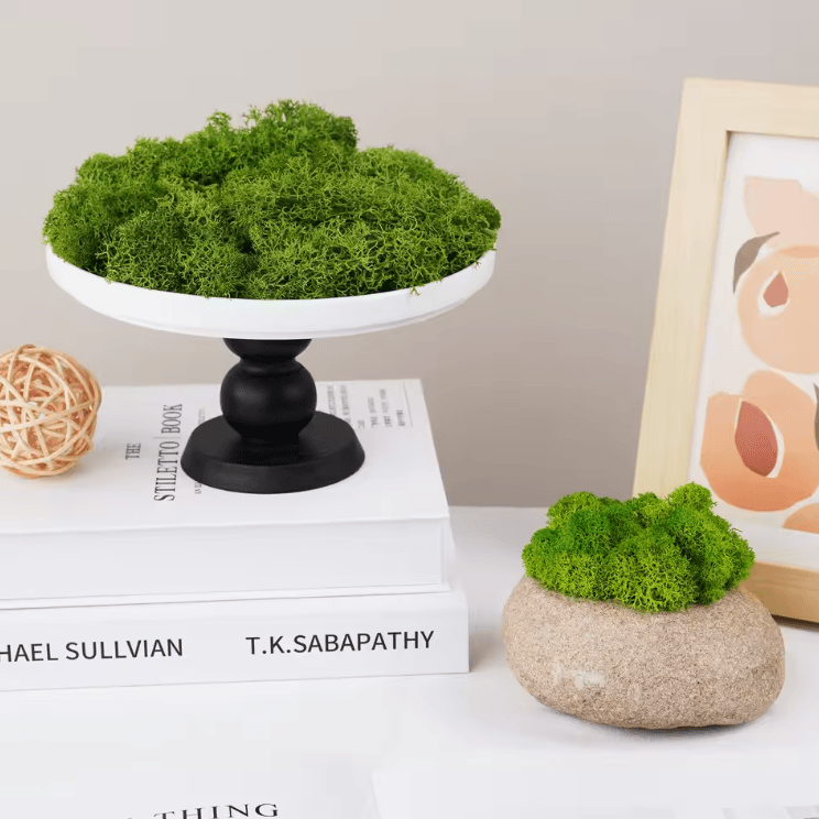 Natural Green Artificial Moss – Eternal Life DIY Decor for Mini Gardens & Home Styling