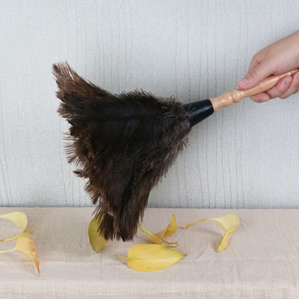 Natural Ostrich Feather Duster – Soft Dust Removal Brush with Wooden Handle