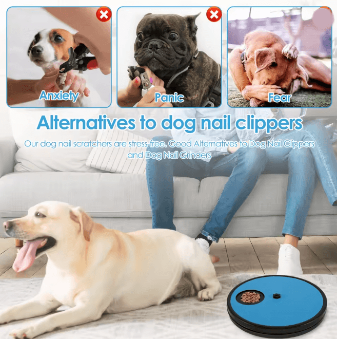 3 in 1 Dog Nail Scratch Pad Interactive Grooming and Treat Board
