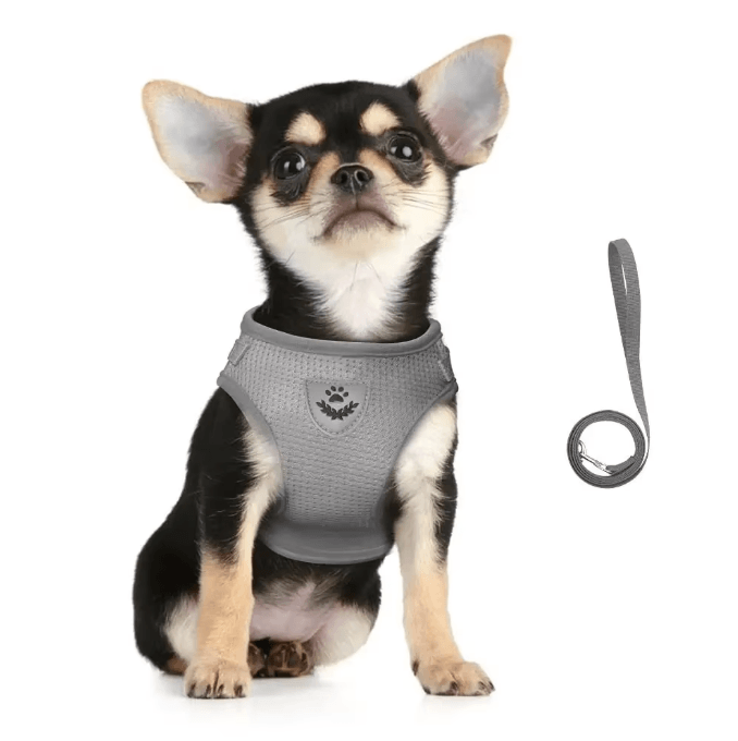 SafePaw Reflective Escape-Proof Cat Harness & Leash Set