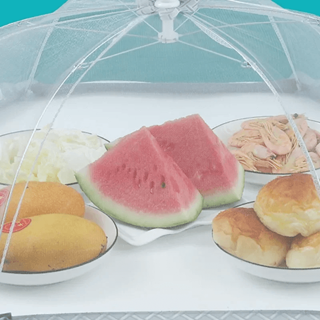 Foldable Mesh Food Cover for Dining Table and Picnic Use