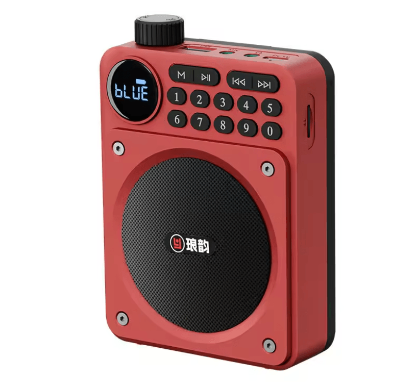 Mini Digital FM Radio Speaker with Bluetooth 5.3 USB TF Card Slot and Voice Amplifier