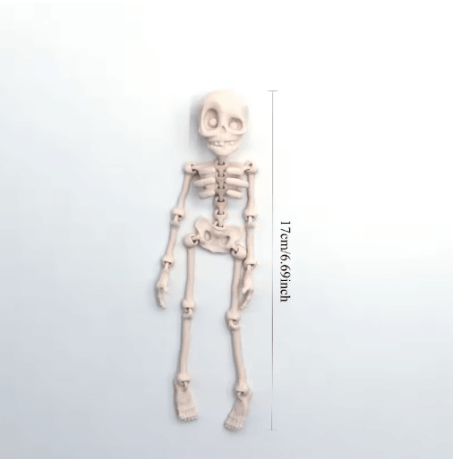Poseable Magnetic Skull Fridge Magnet with Movable Joints