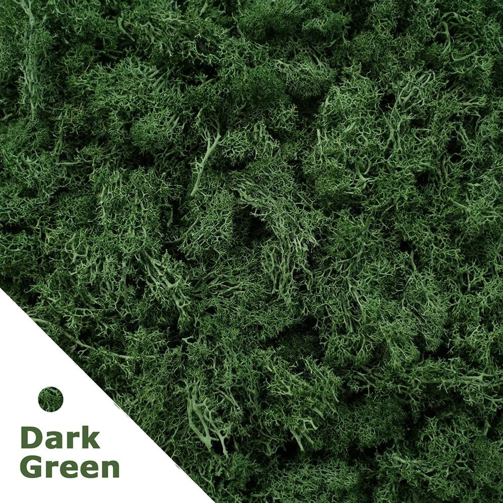 Premium Eternal Life Preserved Artificial Moss Grass
