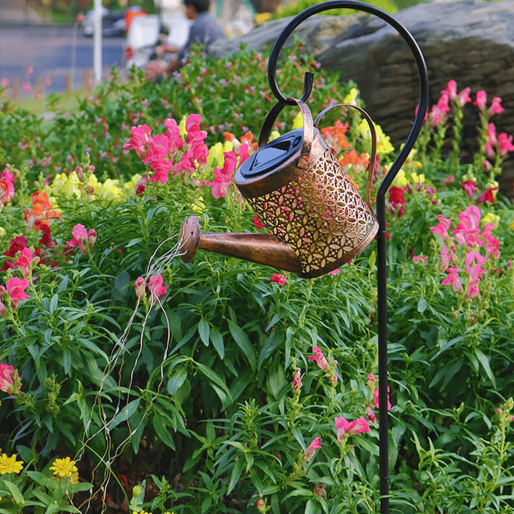 The Enchanted Watering Can