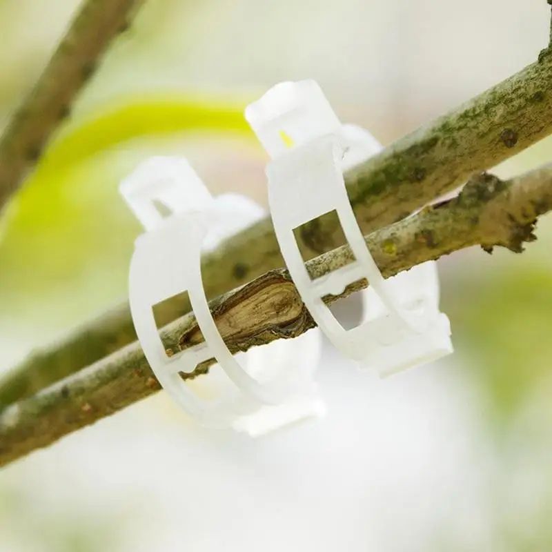 Reusable Plant Support Clips for Vines - Plastic Trellis Stem Fixing Connectors for Garden, Orchard & Climbing Plants